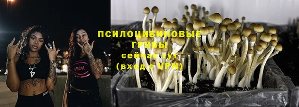 мдма Богородск