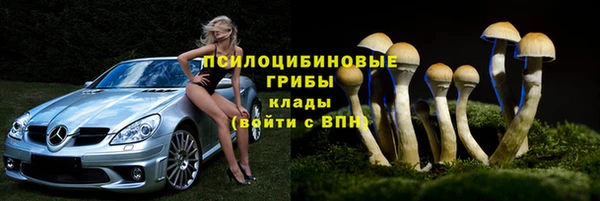 каннабис Белокуриха