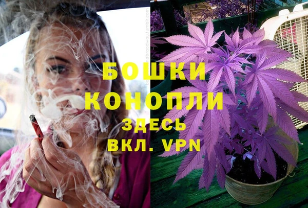 крисы Беломорск