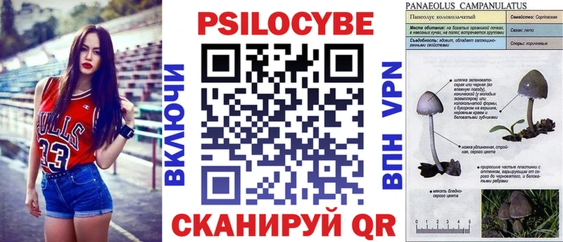 Псилоцибиновые грибы Psilocybe  как найти   Кудымкар 